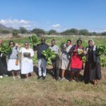 Lokale Partners Zuid-Afrika SACBC - HomePlan