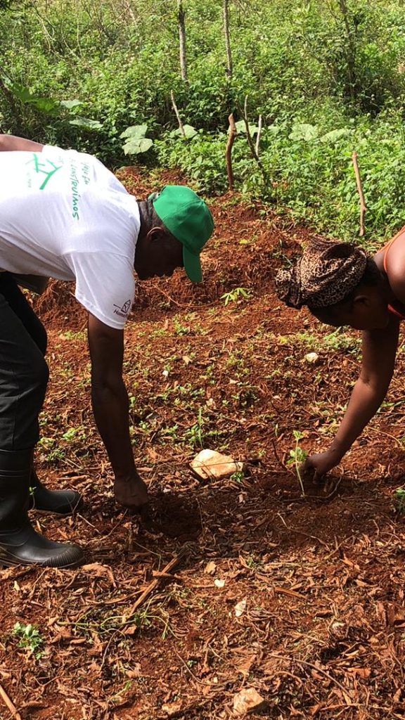 Moestuinen Village Marie Haiti - workshop 2
