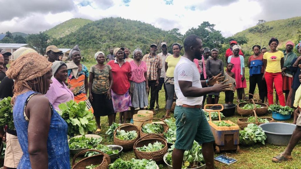 Moestuinen Village Marie Haiti - community garden