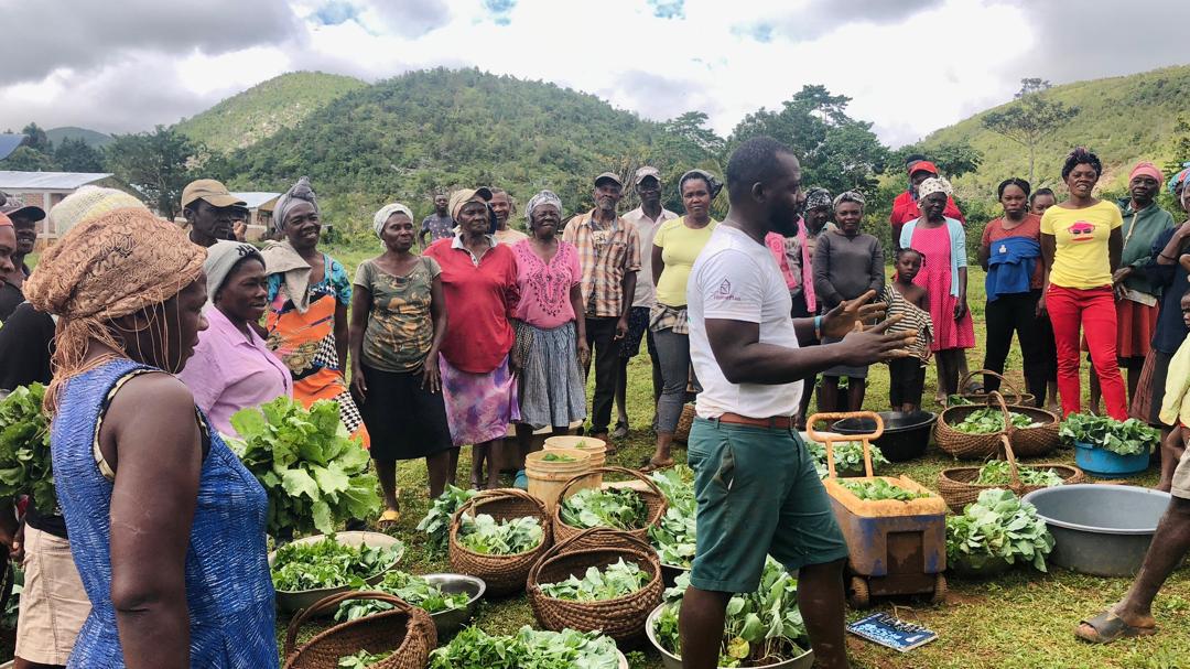 Moestuinen Village Marie Haiti - community garden